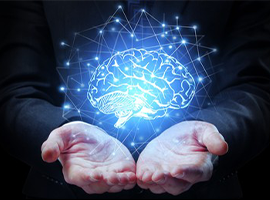 Knowledge of Styles and Formatting